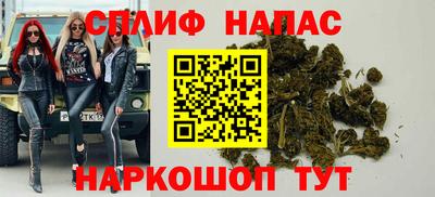 СК Дубна