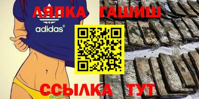 СК Дубна