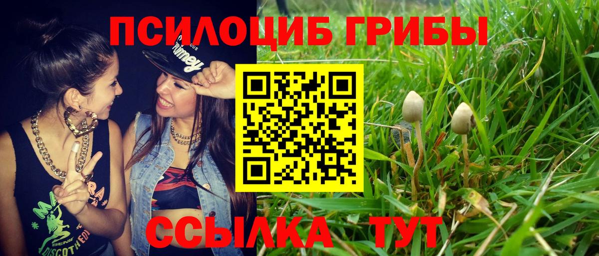 Галлюциногенные грибы ЛСД Мичуринск