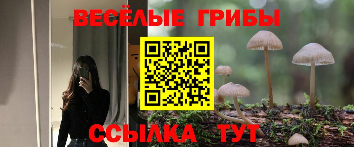 Мичуринск  Псилоцибиновые грибы Psilocybine cubensis  Псилоцибиновые грибы мухоморы  Вход с VPN 